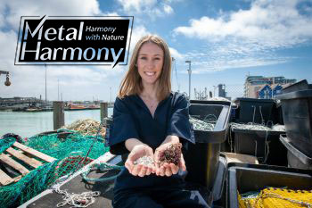 بازیافت ماهی ها در صنعت پلاستیک